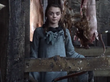 Arya Stark as she appeared in "Winter Is Coming".