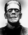 An interpretation of Frankenstein's monster from the 1935 Bride of Frankenstein movie. This design would become the monster's most iconic one in popular culture, serving as the basis for this Variant.