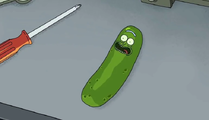 Pickle Rick as seen in the titular episode.